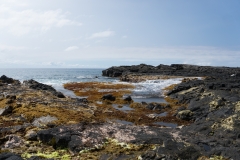 hawaii-day-6 (1 of 6)