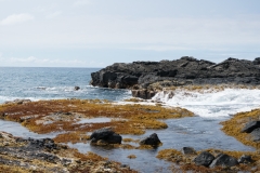 hawaii-day-6 (3 of 6)