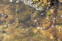 hawaii-day-6 (4 of 6)