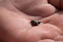 hawaii-day-6 (5 of 6)