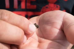 hawaii-day-6 (6 of 6)