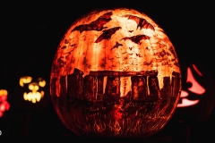 jol_spectacular_2019-65