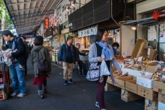 jp_2017__aki-1 jp_2017__aki-1