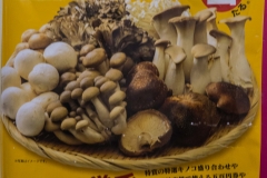 jp_2017__aki-10 jp_2017__aki-10