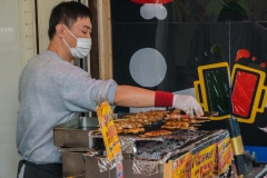 jp_2017__aki-11 jp_2017__aki-11