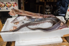 jp_2017__aki-14 jp_2017__aki-14