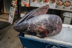 jp_2017__aki-15 jp_2017__aki-15