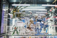 jp_2017__aki-17 jp_2017__aki-17