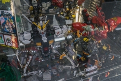 jp_2017__aki-21 jp_2017__aki-21