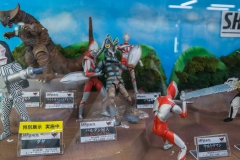 jp_2017__aki-22 jp_2017__aki-22