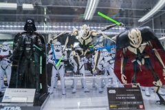 jp_2017__aki-29 jp_2017__aki-29