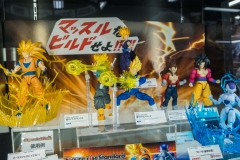 jp_2017__aki-37 jp_2017__aki-37