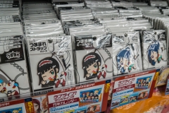 jp_2017__aki-40 jp_2017__aki-40