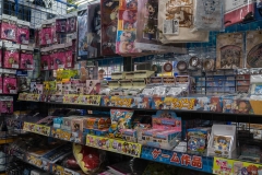 jp_2017__aki-41 jp_2017__aki-41