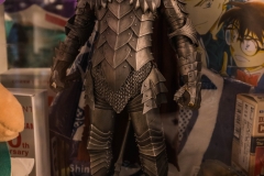 jp_2017__aki-49 jp_2017__aki-49