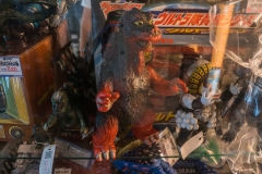 jp_2017__aki-51 jp_2017__aki-51