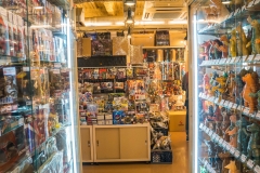 jp_2017__aki-53 jp_2017__aki-53