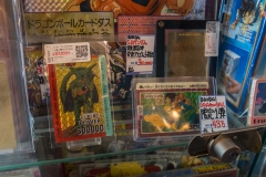 jp_2017__aki-55 jp_2017__aki-55