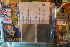 jp_2017__aki-56 jp_2017__aki-56