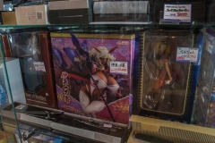 jp_2017__aki-58 jp_2017__aki-58