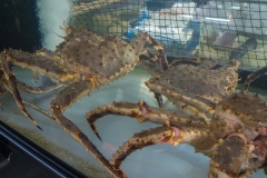 jp_2017__aki-7 jp_2017__aki-7