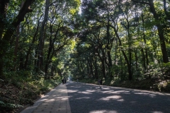 jp_2017__meiji-14