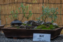 jp_2017__meiji-39