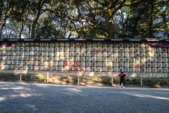jp_2017__meiji-47