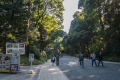 jp_2017__meiji-50