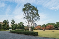 jp_2017__meiji-69