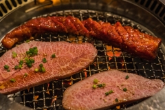 jp_2017__meiji-77