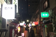 jp_2017__meiji-83
