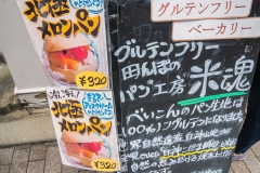 jp_2017__tg-22