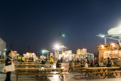 jp_2017__tms-149 jp_2017__tms-149