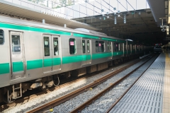 jp_2017__tms-19 jp_2017__tms-19