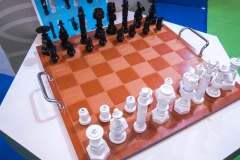 jp_2017__tms-29 jp_2017__tms-29