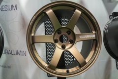 jp_2017__tms-31 jp_2017__tms-31