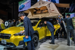 jp_2017__tms-51 jp_2017__tms-51