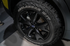 jp_2017__tms-55 jp_2017__tms-55