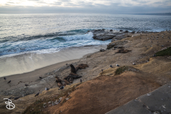 sd-la-jolla-2 sd-la-jolla-2