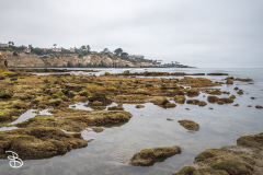 sd-la-jolla-5 sd-la-jolla-5