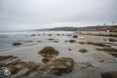 sd-la-jolla-6 sd-la-jolla-6