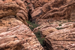 las_vegas_2018-78