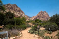 las_vegas_2018-7