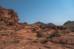 las_vegas_2018-33