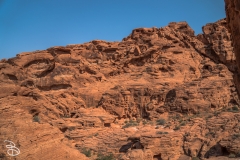 las_vegas_2018-43