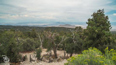 vegas-p2-2022-nature-13