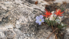 vegas-p2-2022-nature-14