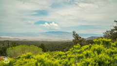 vegas-p2-2022-nature-15