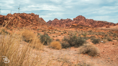 vegas-p2-2022-nature-18